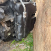 АКПП 6T30 Chevrolet Cruze 1.8 Chevrolet Cruze оригинальный номер 24259720