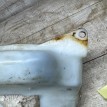 Бачок омывателя Nissan Qashqai J10 Nissan Qashqai оригинальный номер 28910-JD000