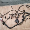 Проводка подкапотная Lada Kalina 2 2013 21923724010 ХЭТЧБЕК 11186 ВАЗ (Lada) Kalina 