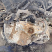 АКПП Volvo V40 оригинальный номер 36002829