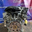 Двигатель Lexus Is250 2005-2014 1900031371 4GR-FSE Lexus IS  