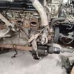 Двигатель Nissan Teana оригинальный номер 10102JN01F, 10102JN0AW