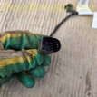 Проводка АКПП VW Touareg CR, Audi Q7 Q8 2024г Volkswagen Touareg оригинальный номер 4M0971348K