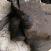 Суппорт передний левый Volkswagen Polo 5 Volkswagen Polo оригинальный номер 6RF615123