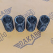 Комплект пружин клапана 4 шт Volkswagen Passat B6 Volkswagen Passat 