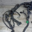 Проводка ДВС Nissan X-Trail II (2007—2011) Nissan X-Trail оригинальный номер 24011JG32B