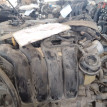 Двигатель Toyota Corolla Rumion оригинальный номер 190000T040