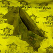 Подкрылок Honda S-MX 