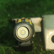 Рампа форсунки на Geely Emgrand EC7 11-16 1.8 Geely Emgrand EC7 оригинальный номер 1136000127