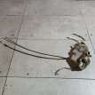 Замок двери передней правой Toyota Prius оригинальный номер 6903047010