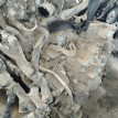 АКПП Renault 6 оригинальный номер 320107333R
