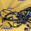 Проводка двигателя Chevrolet Captiva I рестайлинг (2011—2013) Chevrolet Captiva оригинальный номер 95489695