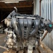 Двигатель Ford Focus 2004-2011 1525704 AODA Ford Focus  