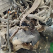Акпп Toyota Camry оригинальный номер 3050033510