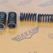 Комплект пружин клапана 4 шт Volkswagen Passat B6 Volkswagen Passat 