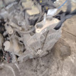 АКПП Geely Coolray 