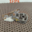 Кронштейн выхлопа BMW X5 оригинальный номер 18 20 7 558 659, 18 20 7 558 659, 18207558659, 7558659, 18 20 7 568 777, 18207568777, 7568777
