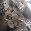 Двигатель Opel Astra оригинальный номер 5601646