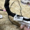 Проводка потолочная Toyota Camry VIII (XV70) Рестайлинг – седан  оригинальный номер 82171-3T330