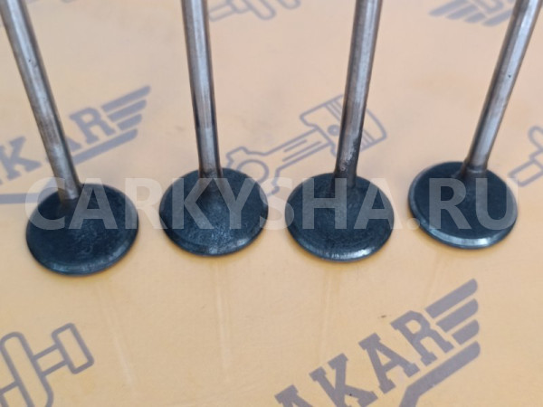 Комплект впускных клапанов 4 шт BMW X1 E84 N47D20C BMW X1 