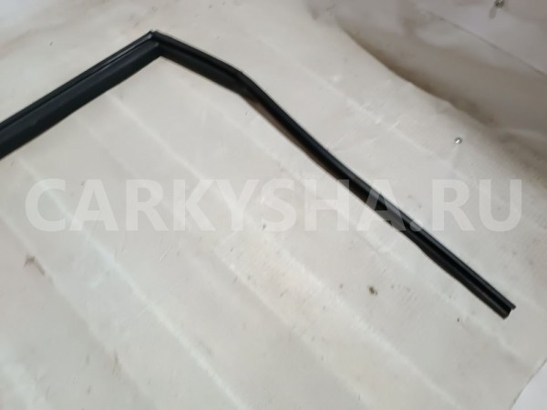 Уплотнитель проема стекла двери задней левой Ssang Yong Rexton 