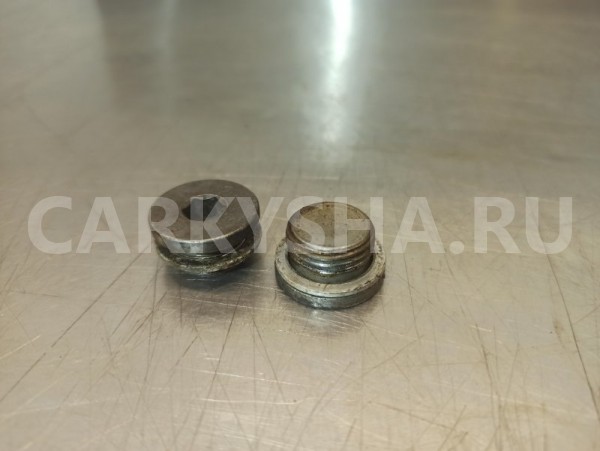 Резьбовая пробка BMW 3-Series E90 N46B20 2.0 2012 BMW 3er 