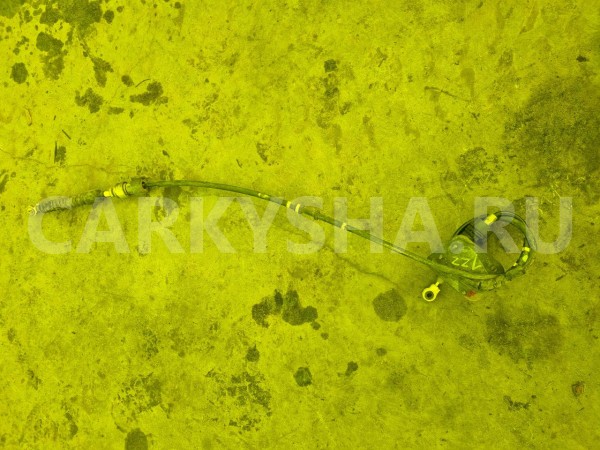 Тросик автомата Toyota Wish оригинальный номер 3382068010