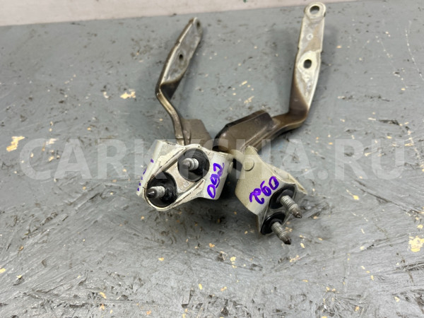 Петля крышки багажника Audi A1 2011 Audi A1 