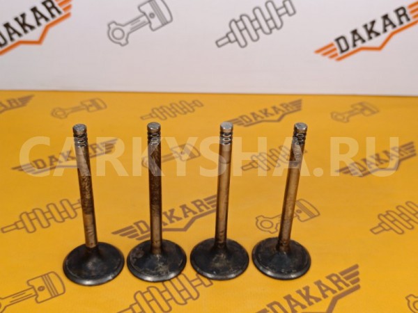 Клапан впускной Volkswagen Golf 1H1 AAZ 1.9TD 1997 Volkswagen Golf 