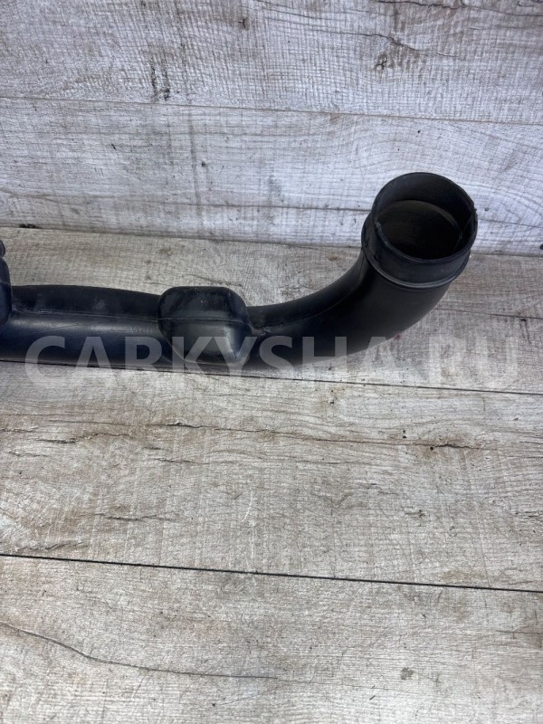 Воздухозаборник Nissan Qashqai J10 2006-2013 Nissan Qashqai оригинальный номер 1021733s01