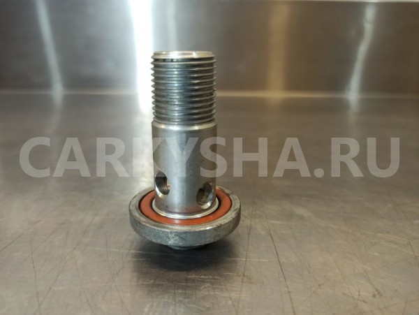 Болт масляного радиатора Nissan X-Trail T30 QR20DE Nissan X-Trail 