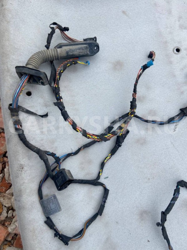 Проводка двери BMW X5 E70 (2006—2010) BMW X5 оригинальный номер Х5Е70