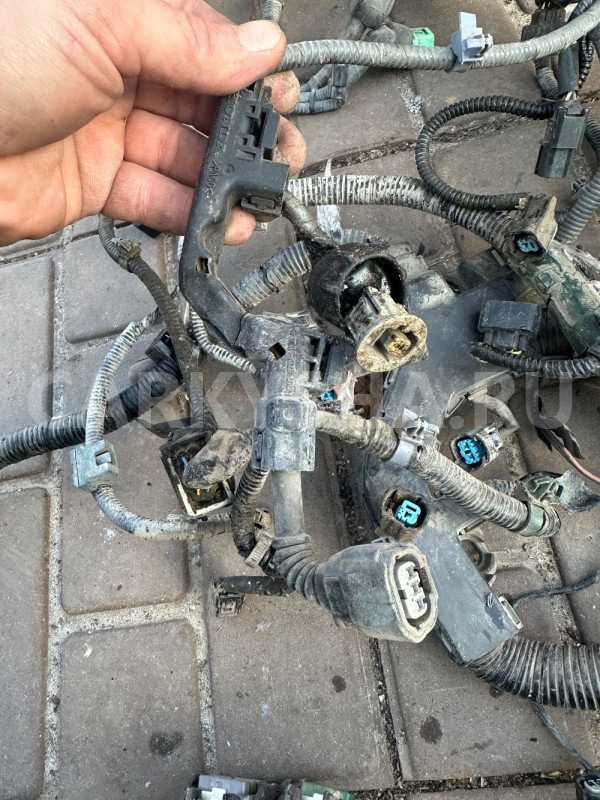 Проводка двигателя Honda Civic 8 Honda Civic оригинальный номер 32110rnht523