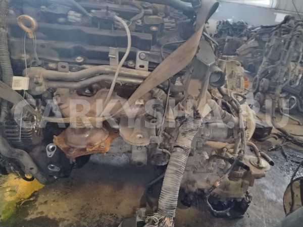 Двигатель Nissan Teana оригинальный номер 10102JP0AW