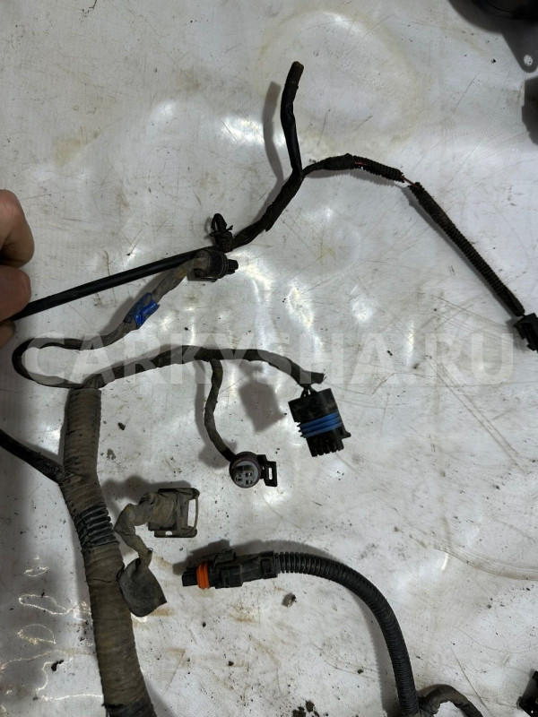 Проводка моторного отсека Chevrolet Aveo T250 Chevrolet Aveo оригинальный номер 96072817