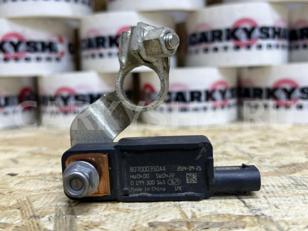 Клемма плюсовая Jetour Dashing оригинальный номер 807000350AA