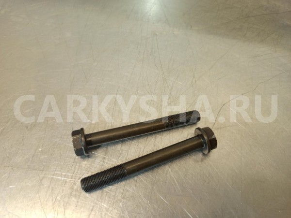 Болт распредвала BMW 3-Series E90 N46B20 2.0 2012 BMW 3er 