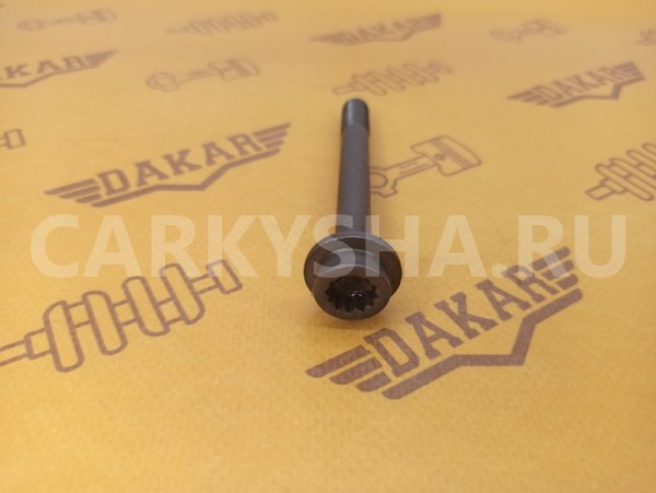 Болт распредвала Volkswagen Polo 614 CWVA 1.6 2018 Volkswagen Polo 