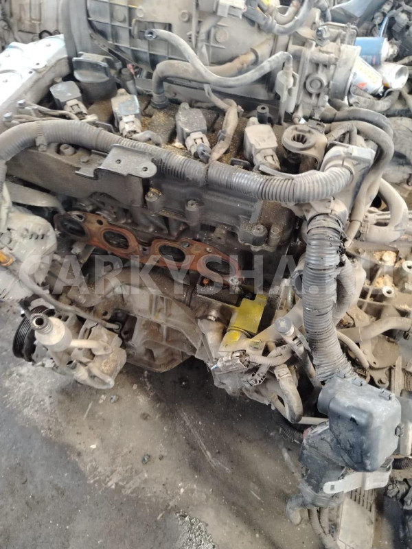 Двигатель Nissan X-Trail оригинальный номер 10102JG3AC