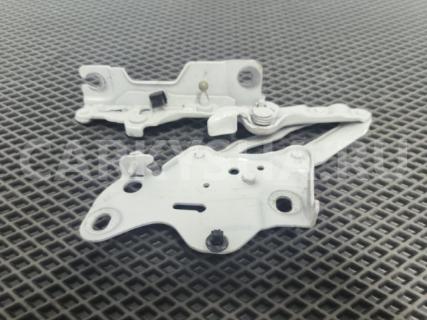 Петля капота BMW X6 2020 7418202 G06 B57D30A, правая BMW X6 