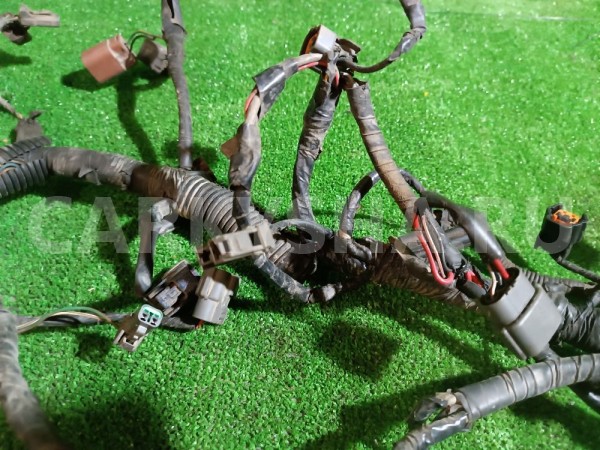 Коса моторная(проводка) Nissan Cefiro 