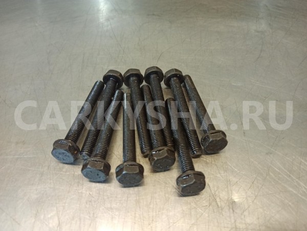 Болт крышки коренного подшипника Volkswagen Passat Volkswagen Passat 