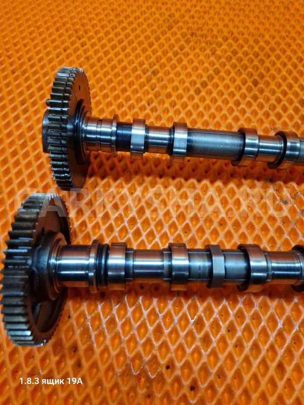 Распредвалы пара SsangYong d20dtf Ssang Yong Korando 