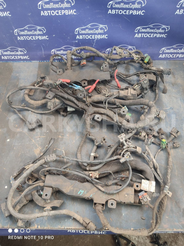 Коса двигателя Ssang Yong Kyron D20DT Ssang Yong Kyron оригинальный номер 6641505633