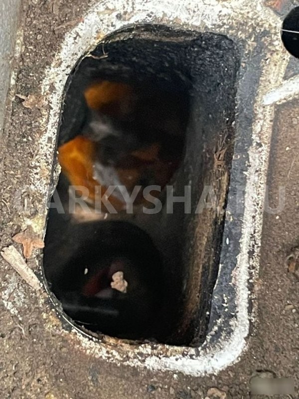 ДВС BMW 5 E39 M52B25TU BMW 5er 