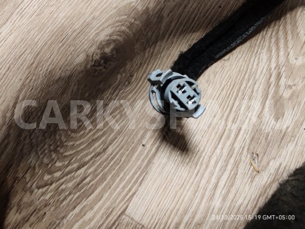 Проводка передней правой двери Nissan Terrano 2018 2416700Q1C F4R Nissan Terrano 