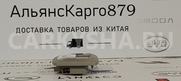 Плафон подсветки салона задний SsangYong Actyon Ssang Yong Actyon 