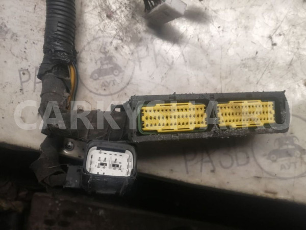 Проводка двигателя  Chevrolet Lacetti I F16D3 Chevrolet Lacetti 