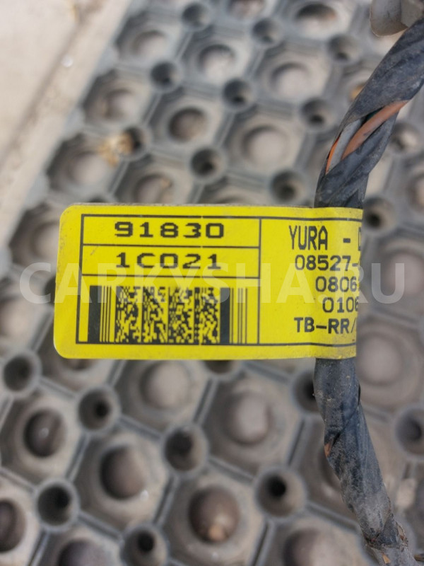Проводка задней правой двери Hyundai Getz Hyundai Getz оригинальный номер 918301C020