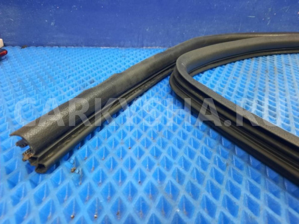 Уплотнитель двери передней правой  FIAT Doblo 1 Fiat Doblo оригинальный номер 46814072
